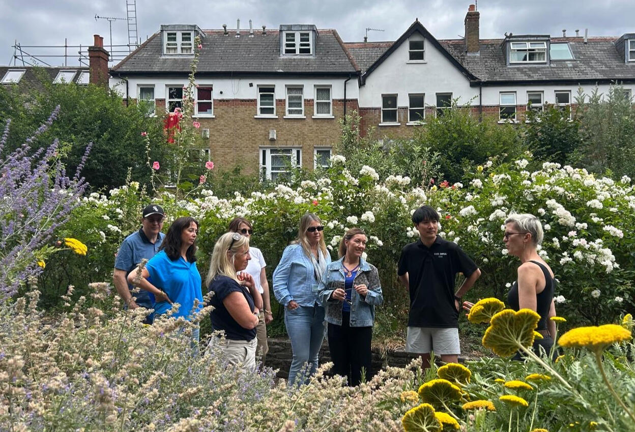 Walking Workshops