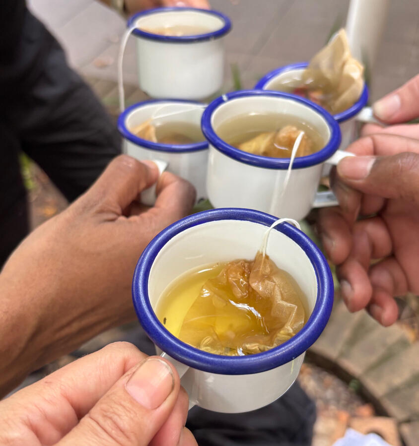 Herbal Teas